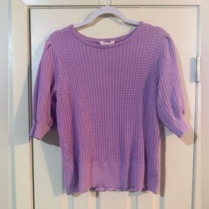 Terra & Sky Purple Textured Blouse